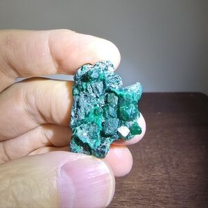 Dioptase Crystal Cluster #C